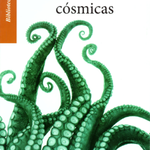 Singularidades cósmicas