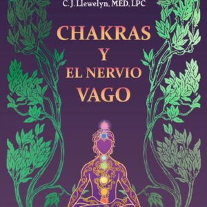 Chakras y el nervio vago