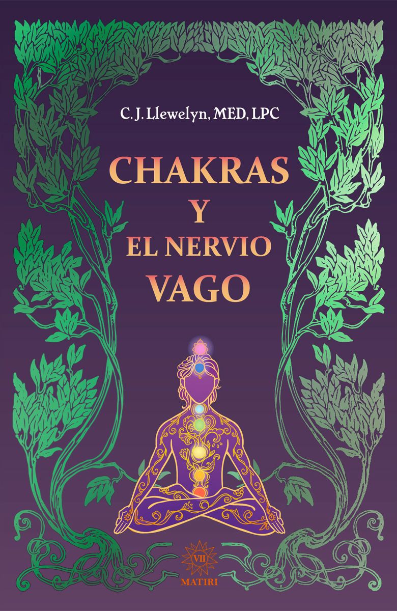 Chakras y el nervio vago