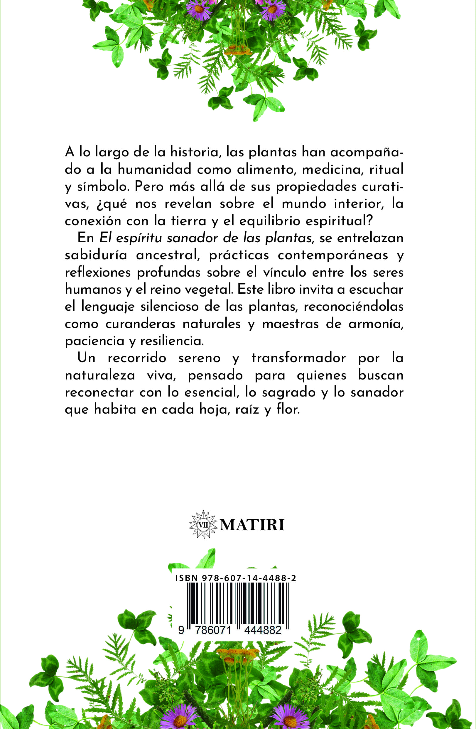 El espíritu sanador de las plantas - Imagen 2