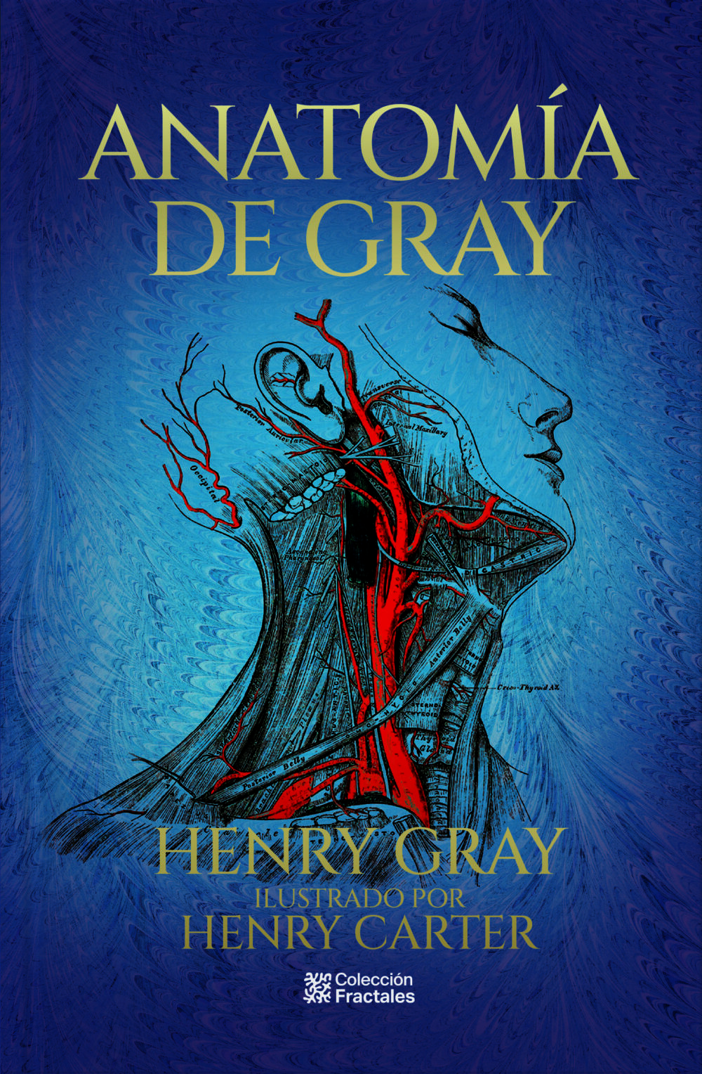 Anatomía de Gray