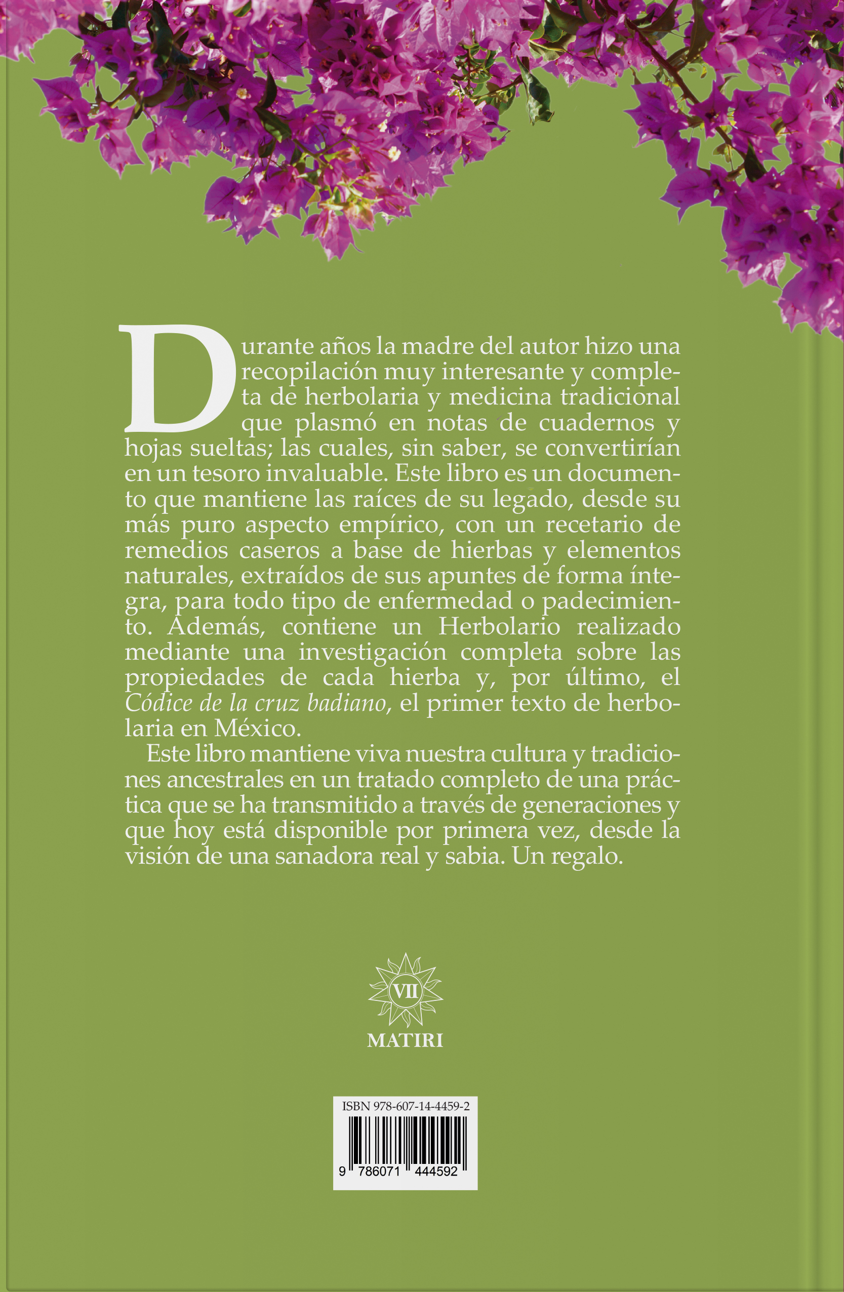 Herbolaria: <br> los apuntes de mi madre - Imagen 2